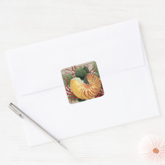 Adesivo Quadrado Vintage Beach Seashell & Red Coral