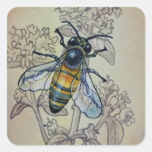 Adesivo Quadrado Vintage Bee No. 7 Flores Selvagens Arte Aquecida