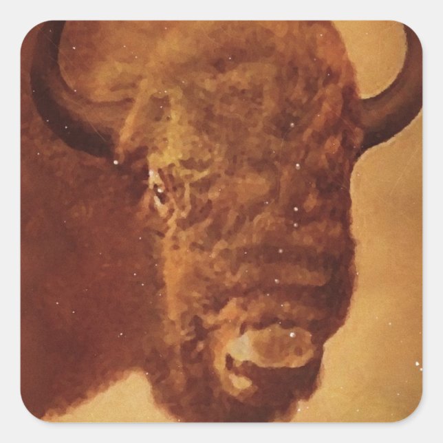 Adesivo Quadrado Vintage Buffalo (Frente)