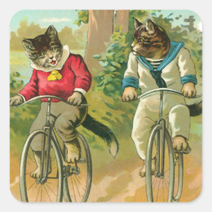 Adesivo Quadrado Vintage Cats na Bicicleta