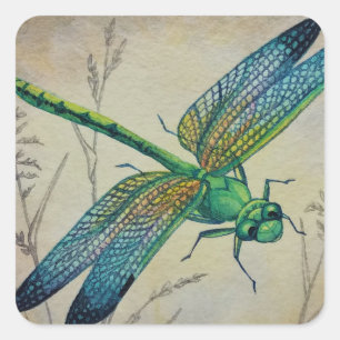 Adesivo Quadrado Vintage Dragonfly No. 1 e Grass Watercolor Art