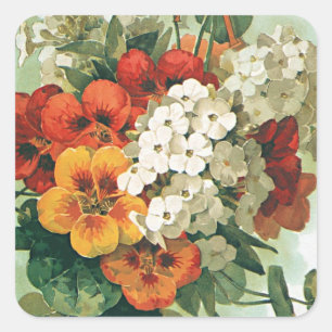 Adesivo Quadrado Vintage Eastman's Seed Catalog Art, 1897