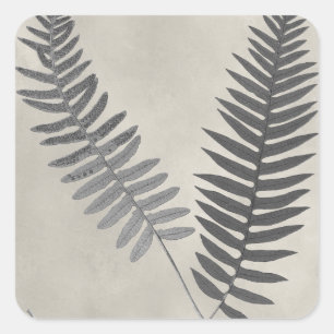 Adesivo Quadrado Vintage Ferns