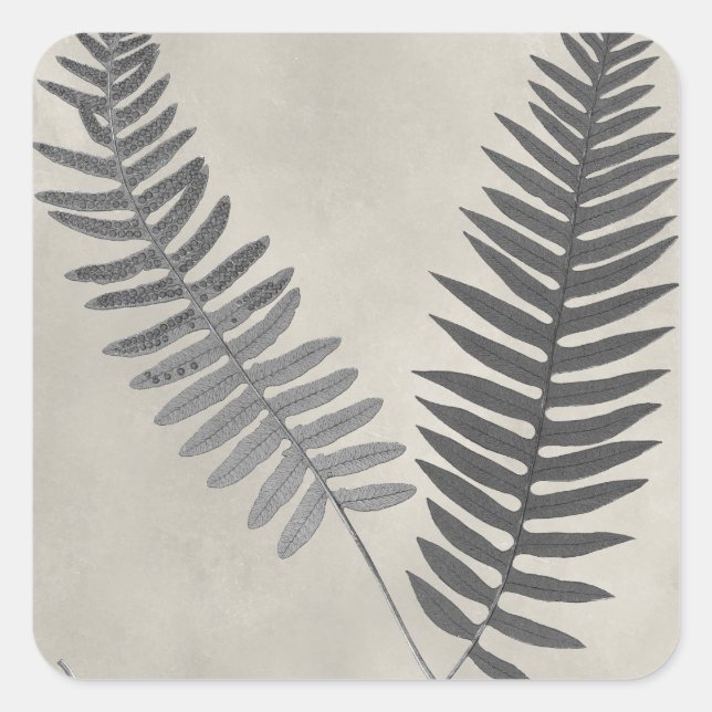 Adesivo Quadrado Vintage Ferns (Frente)