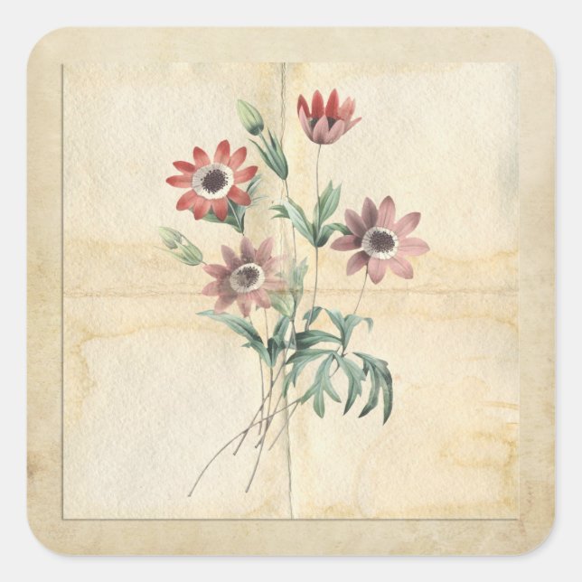 Adesivo Quadrado Vintage Flower Collage Scrapbook Embeleting (Frente)