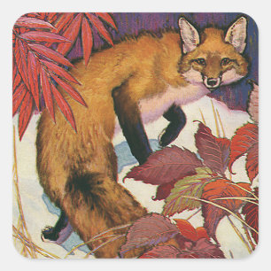 Adesivo Quadrado Vintage Forest Creatures Red Fox Wild Animal