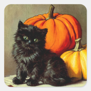 Adesivo Quadrado Vintage Halloween Black Cat e Pumpkins