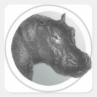 Adesivo Quadrado Vintage Hippo Sticko