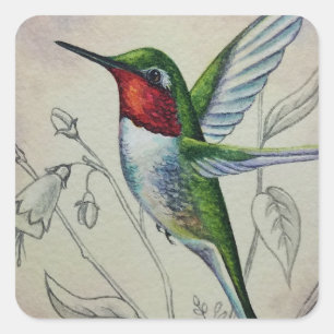 Adesivo Quadrado Vintage Hummingbird N.º 1 Arte por Aquarela