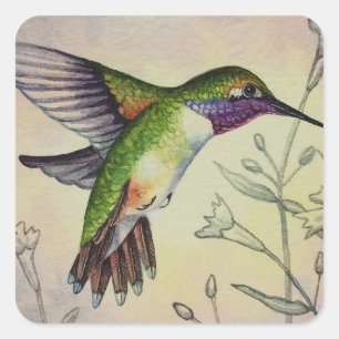 Adesivo Quadrado Vintage Hummingbird No. 2 Arte por Aquarela