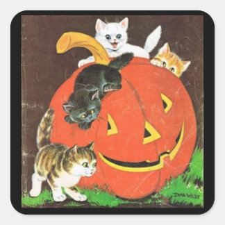 Adesivo Quadrado Vintage Kittens e Pumpkin Stickers