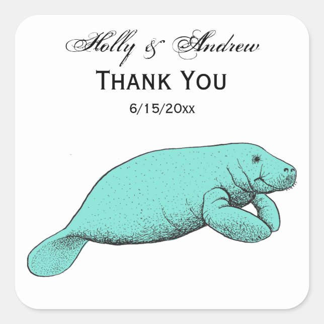 Adesivo Quadrado Vintage Manatee Drawing Aqua (Frente)