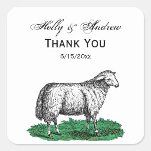 Adesivo Quadrado Vintage Ovino Animais De Exploração Que Desenham C