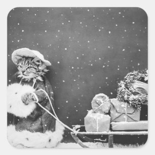 Adesivo Quadrado Vintage Papais noeis de Natal de inverno Cat com S