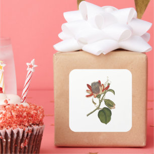 Adesivo Quadrado Vintage Passion Flower