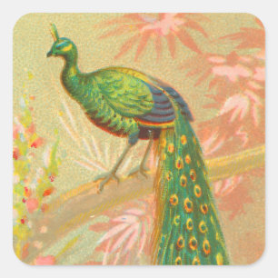 Adesivo Quadrado Vintage Peacock e pintura de flores
