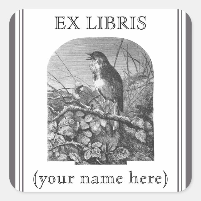 Adesivo Quadrado Vintage, pequeno pássaro a gravar livrinho (Frente)