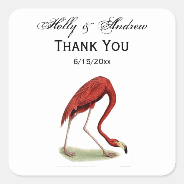 Adesivo Quadrado Vintage Pink Flamingo #1 (Frente)