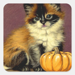 Adesivo Quadrado Vintage Ragdoll Halloween Cat