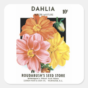 Adesivo Quadrado Vintage Seed Packet Art, Dahlia Garden Flowers