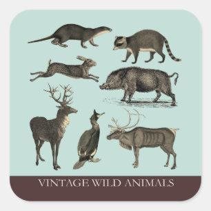 Adesivo Quadrado Vintage Selvagem Animal Sticker