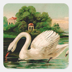 Adesivo Quadrado Vintage Swan no lago