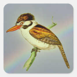 Adesivo Quadrado Vintage White Eared Puff Bird com o Rainbow Sky