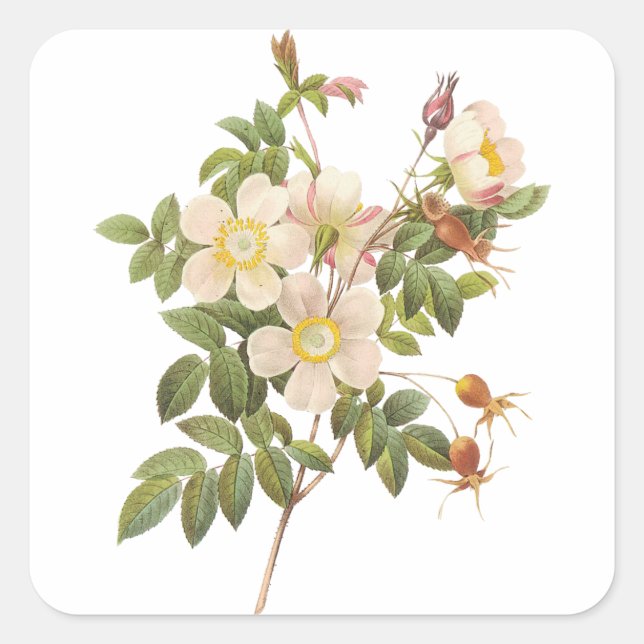 Adesivo Quadrado Vintage White Floral Sticker (Frente)