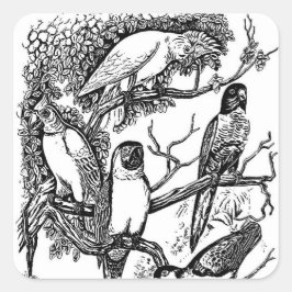 Adesivo Quadrado Vintagem das aves brancas pretas