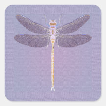 Violet Dragonfly