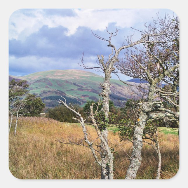 ADESIVO QUADRADO VISÕES DAS PAREDES (Frente)