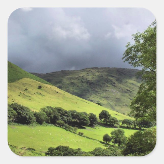 ADESIVO QUADRADO VISÕES DAS PAREDES (Frente)