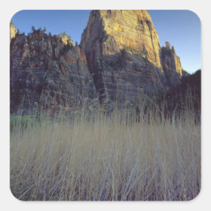 Adesivo Quadrado Vista da planície do rio Virgin, Zion Canyon