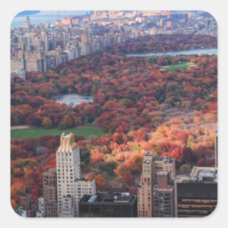 Adesivo Quadrado Vista de cima: outono no Central Park 01