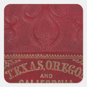 Adesivo Quadrado Vista geográfica de Texas