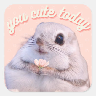 Adesivo Quadrado Você Corta Hoje O Esquilo Bonito Com Flor Rosa