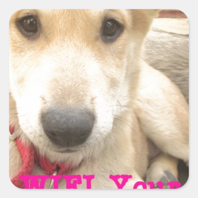 Adesivo Quadrado Você Deveria Fazer O Seu Amor Todos Os Dias (Frente)