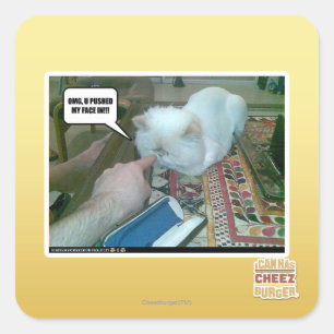 Adesivo Quadrado Você empurrou meu rosto para dentro!