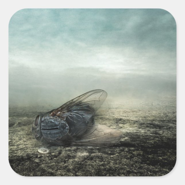 Adesivo Quadrado Voo 2013 (Frente)