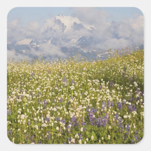 Adesivo Quadrado WA, Mt. Baker Wilderness, Mt. Shuksan e