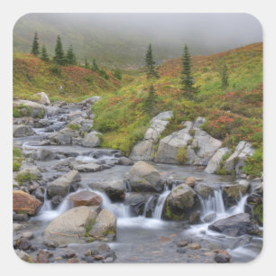 Adesivo Quadrado WA, Parque Nacional Mt. Rainier, Edith Creek
