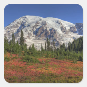 Adesivo Quadrado WA, Parque Nacional Mt. Rainier, Vale do Paraíso