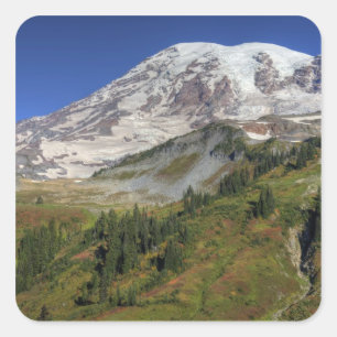 Adesivo Quadrado WA, Parque Nacional Rainier, vista do