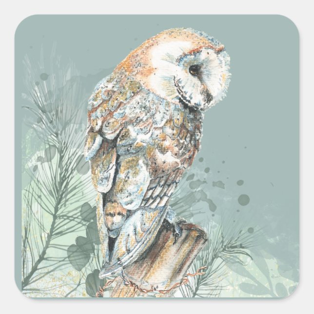 Adesivo Quadrado Watercolor Barn Owl Bird Willife Nature Art (Frente)