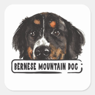 Adesivo Quadrado Watercolor Bernese Mountain Dog Sticker