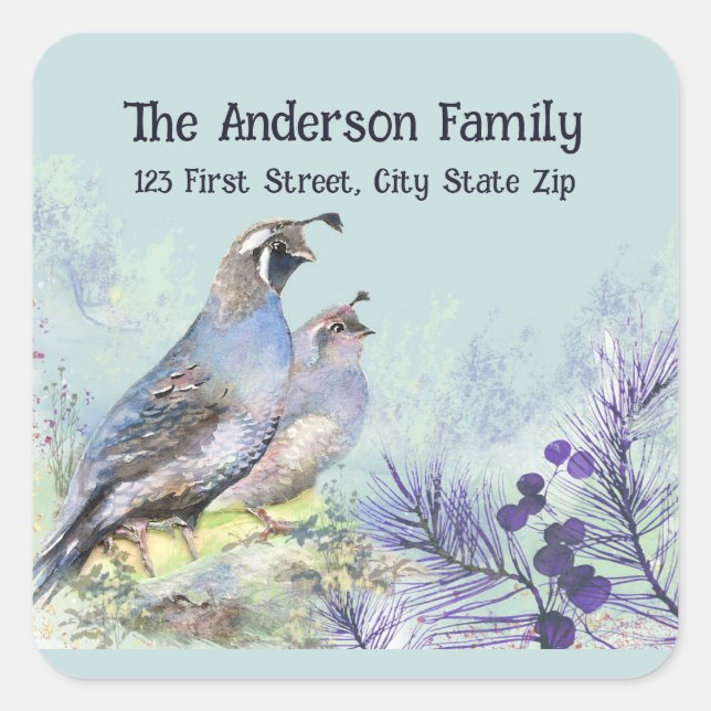 Adesivo Quadrado Watercolor California Quail Willife Bird Nature (Frente)