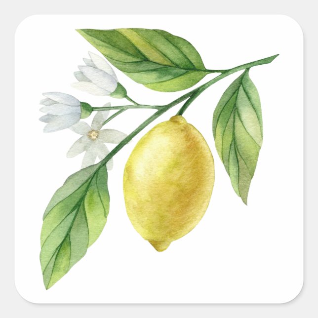 Adesivo Quadrado Watercolor Lemon Pattern Poster (Frente)