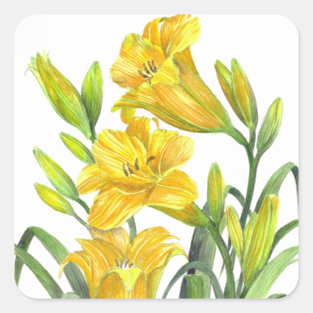 Adesivo Quadrado Watercolor Yellow Day Lily Floral Art (Frente)
