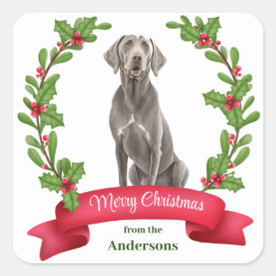 Adesivo Quadrado Weimaraner Holly Banner Natal
