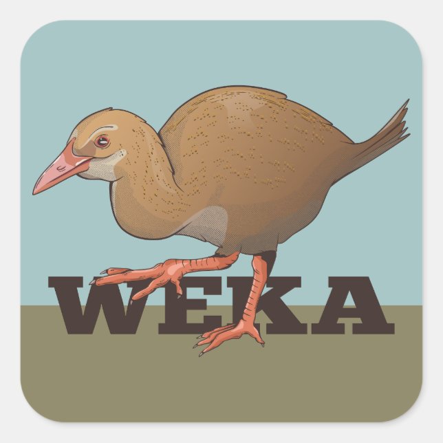 Adesivo Quadrado Weka New Zelândia Bird (Frente)